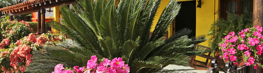 Private El Quelite Mexico Backcountry Cultural Tour 8