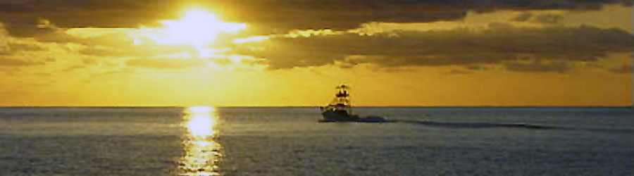 Mazatlan Private Catamaran Sailing Charter at Sunset 5