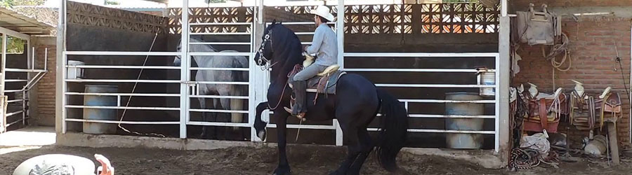 Puerta de Canoas Ranch and Mazatlan Beach & City Adventure 4