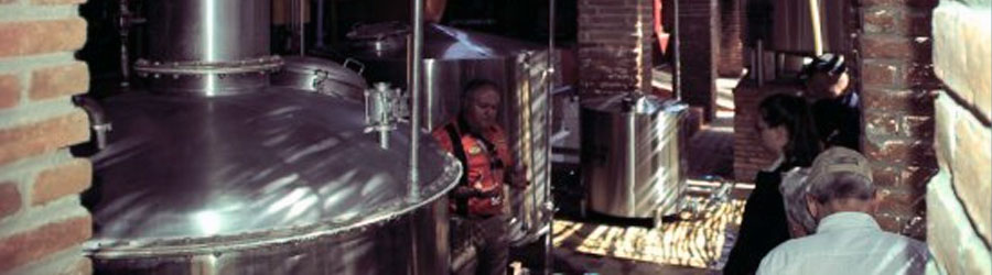 Puerta de Canoas Ranch and Mazatlan Beach & City Adventure 8