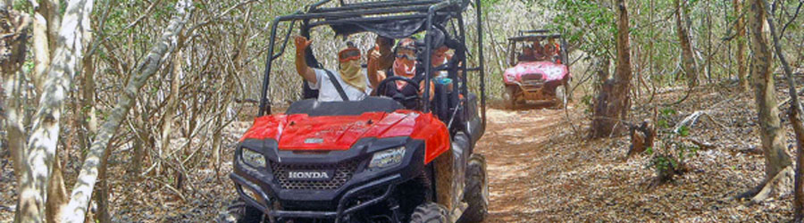 Beach & Mountain Rhino 4x4 Mazatlan 2