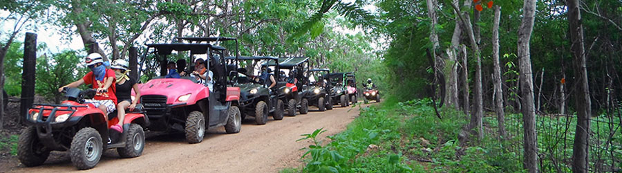 Beach & Mountain Rhino 4x4 Mazatlan 4