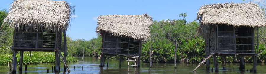 Discover San Blas and La Tovara Mangroves Adventure 6