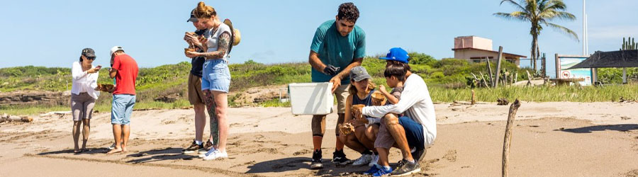 Mazatlan Sea Turtle Release & Mangroves Tour 8