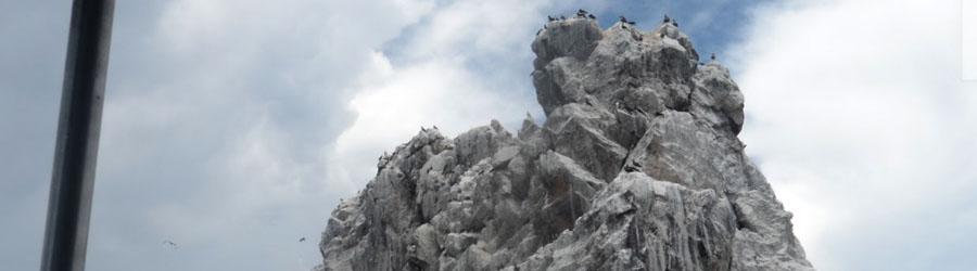 Mazatlan Stone Island Tour 2