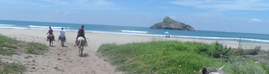 Mazatlan Stone Island Tour 8