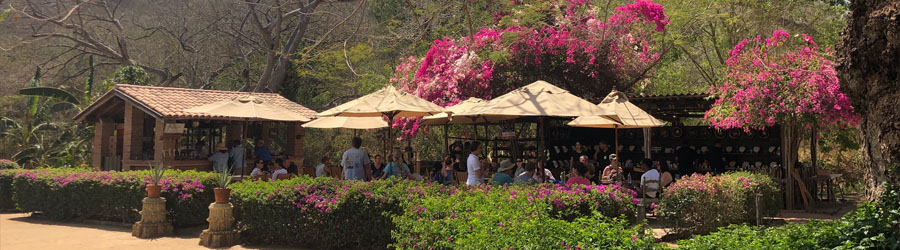 Indigenous Mexican Sauna in the Mazatlan Sierra Madre 8