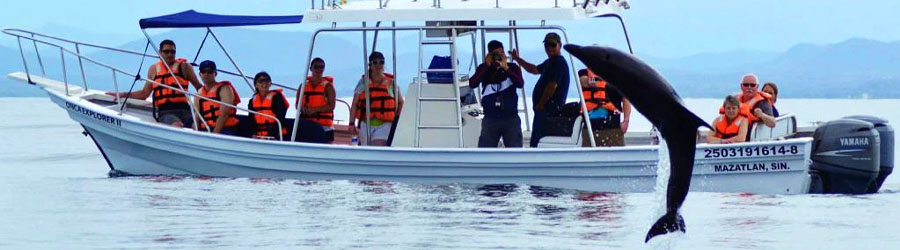 Mazatlan Wild Dolphin Eco Tour 7