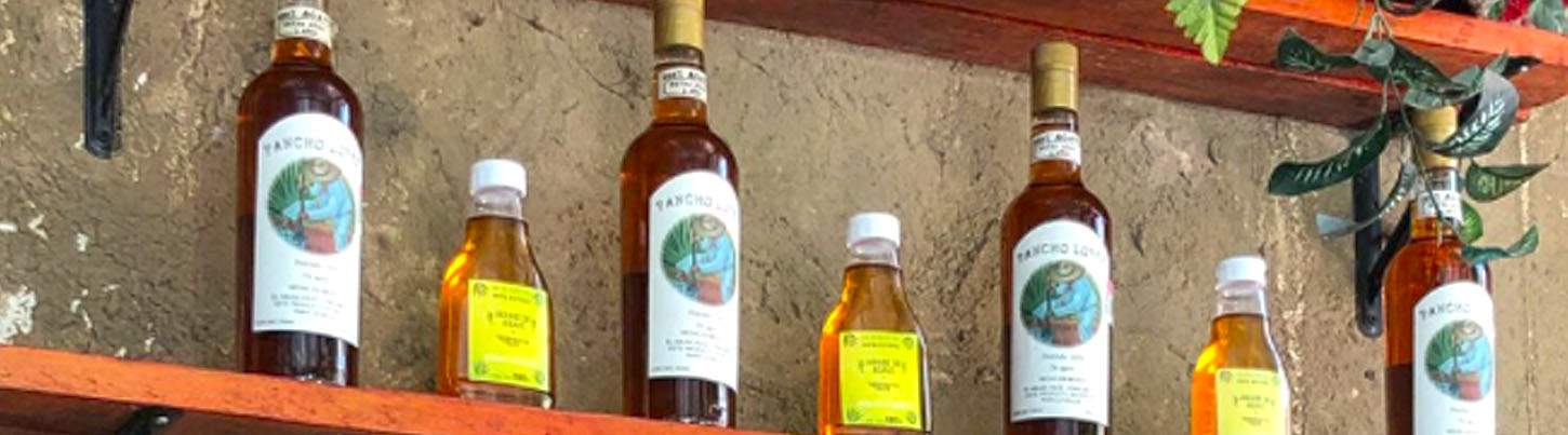 3 Hour Segway Explorer With Lunch 4