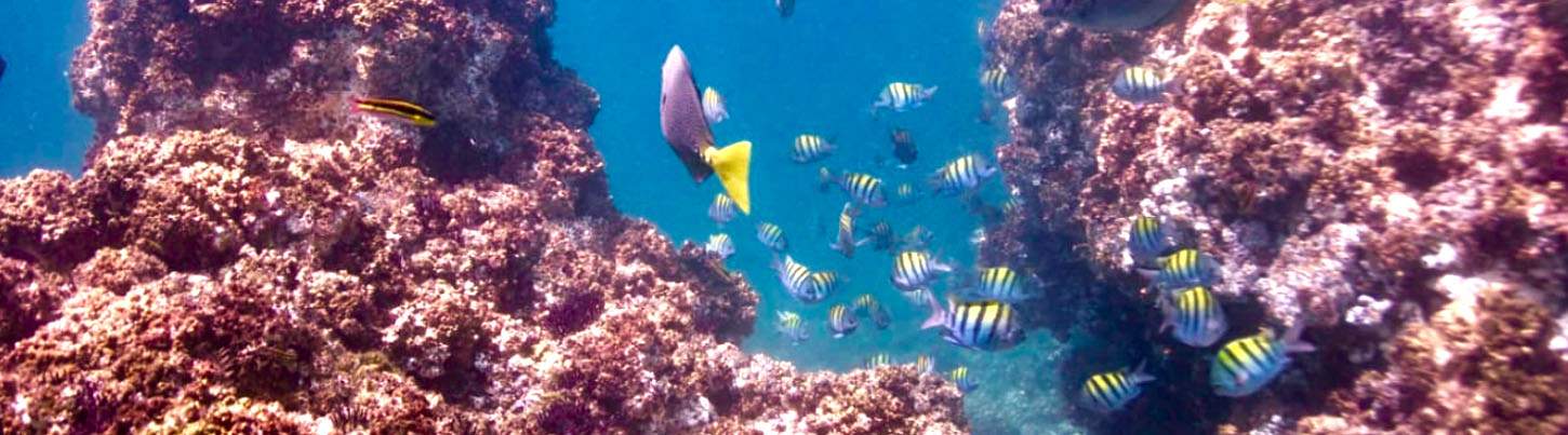 Private 36' Classic Sailboat Charter in Puerto Vallarta 7