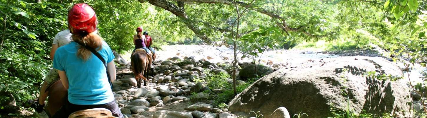 ATV, Canopy & Horses 2
