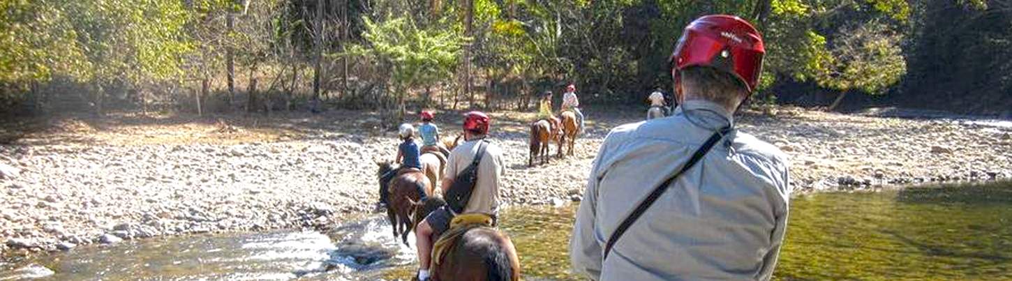 ATV, Canopy & Horses 7