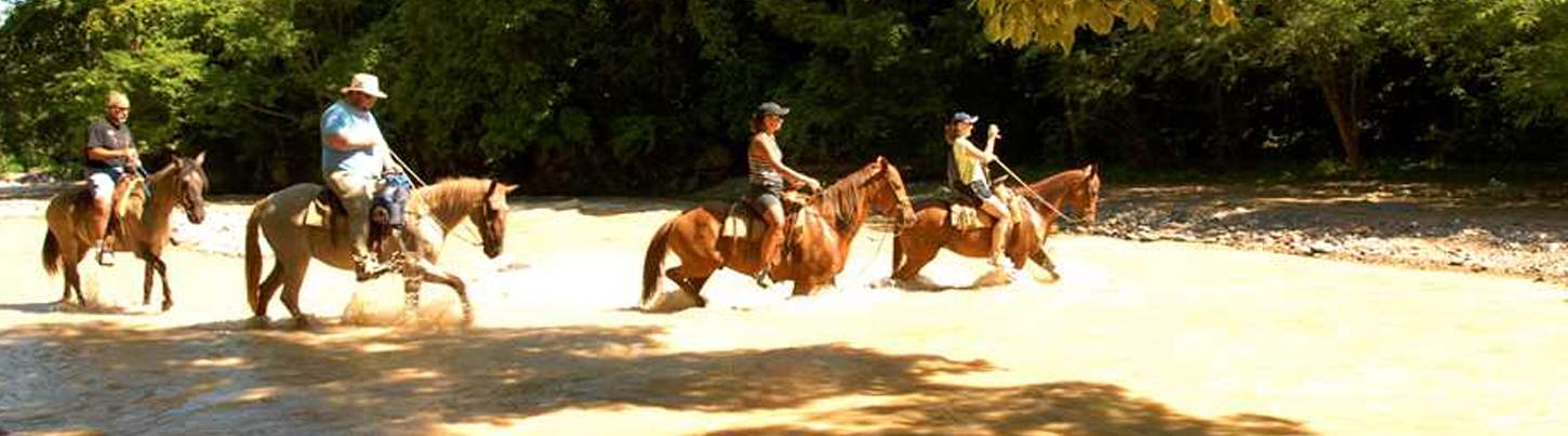 ATV, Canopy & Horses 8