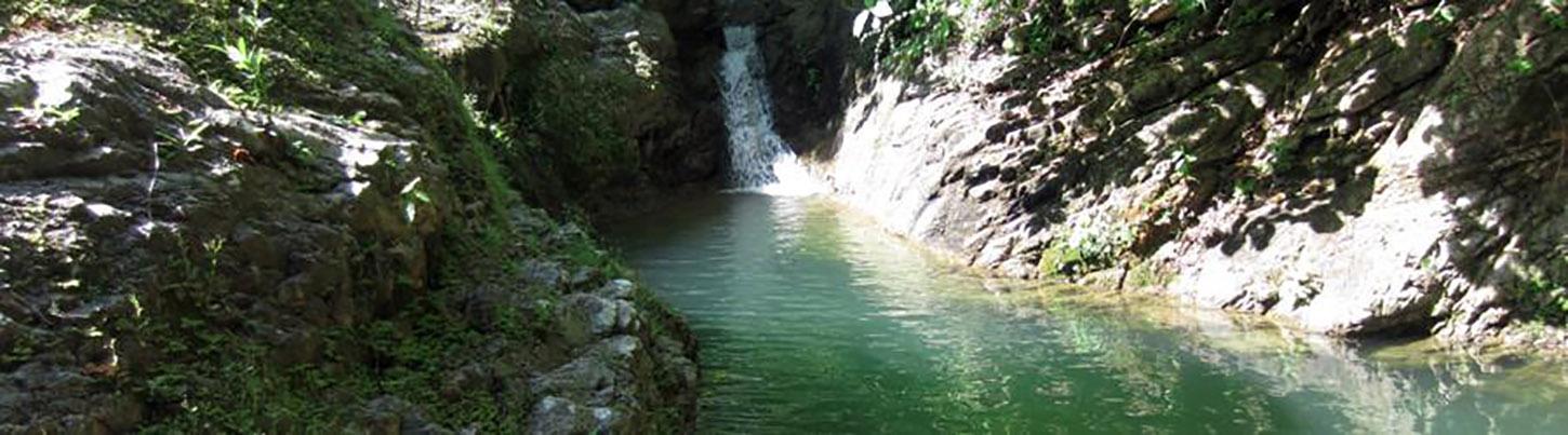 Puerto Vallarta River & Jungle ATV / RZR Trek 7