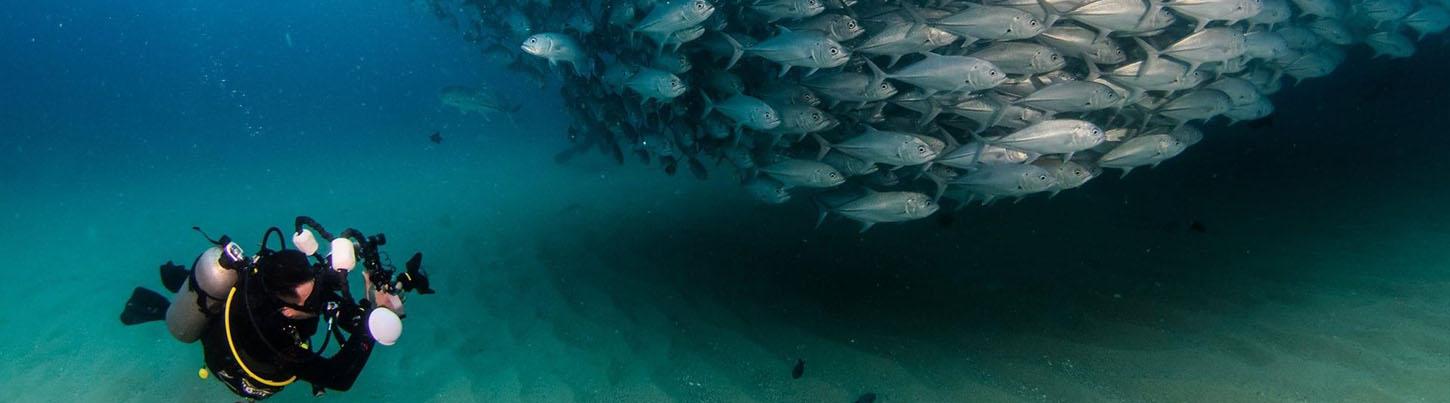 PADI Advanced Open Water Diver Certification 6