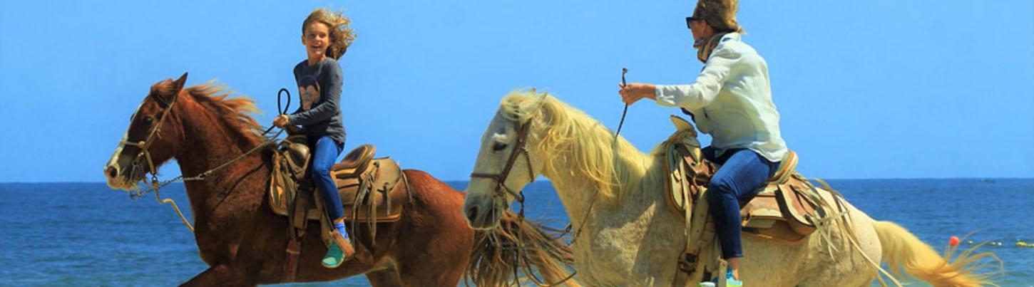 Vista Paraiso Beach Horseback Ride 1