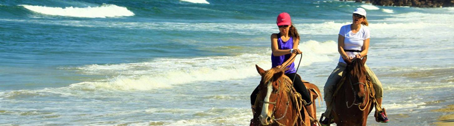 Vista Paraiso Beach Horseback Ride 2