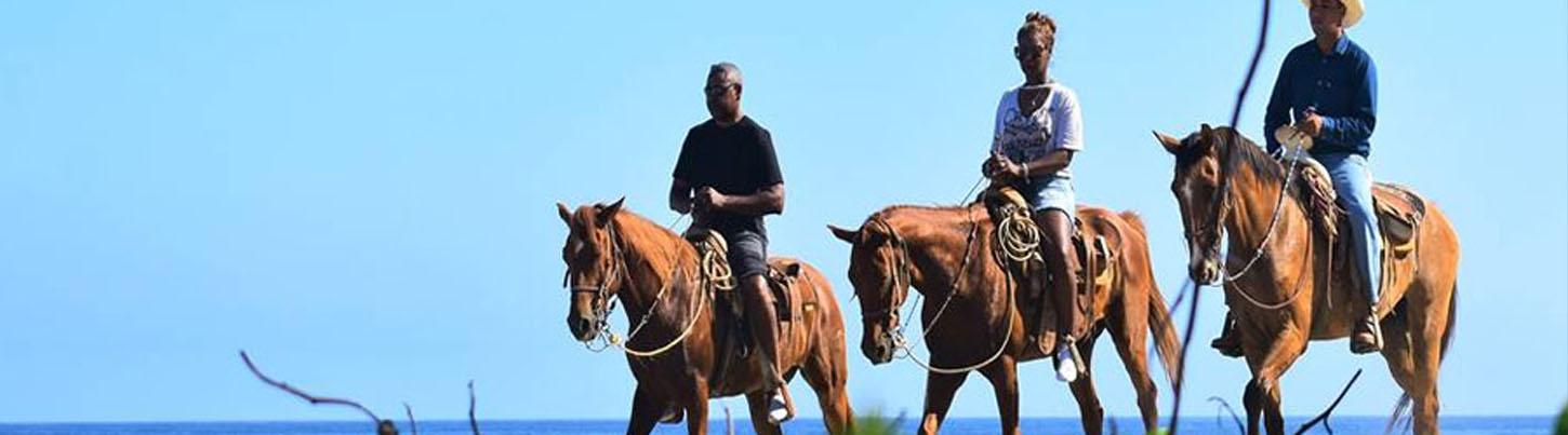 Vista Paraiso Beach Horseback Ride 4