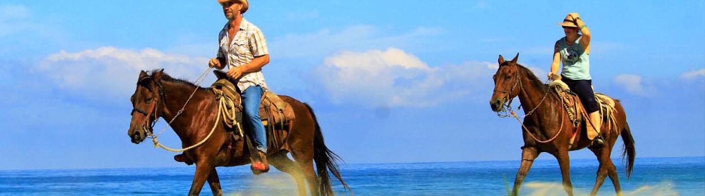 Vista Paraiso Beach Horseback Ride 5