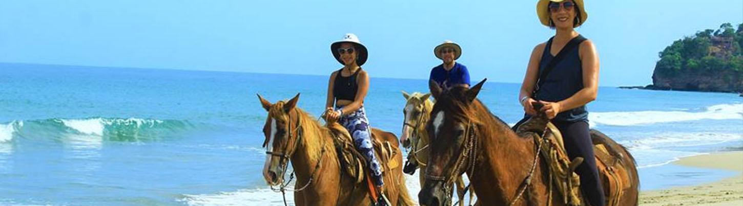 Vista Paraiso Beach Horseback Ride 7