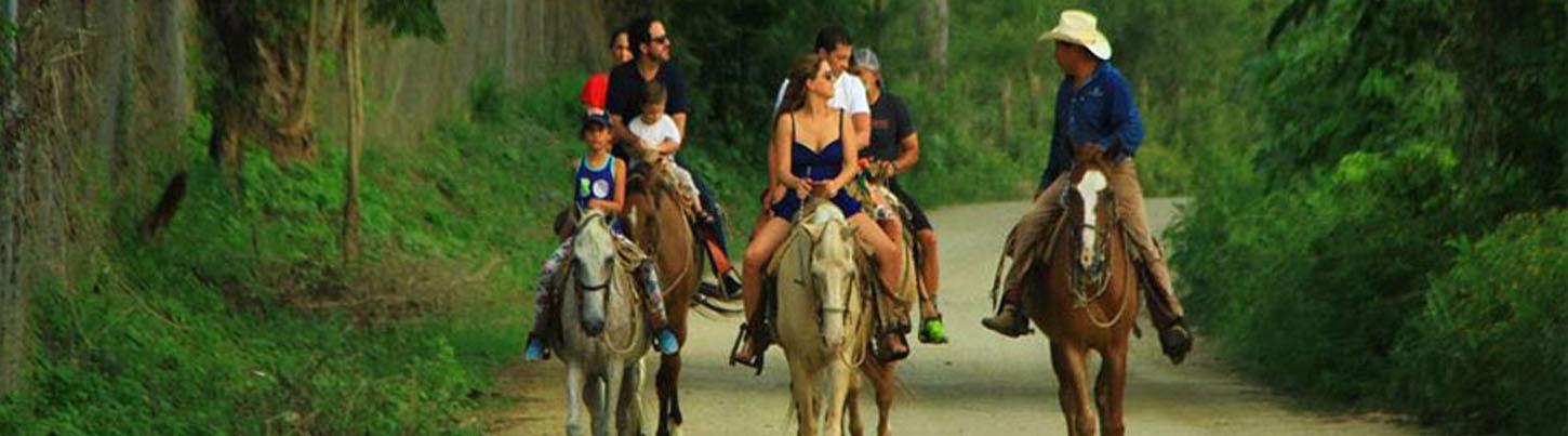 Vista Paraiso Beach Horseback Ride 8