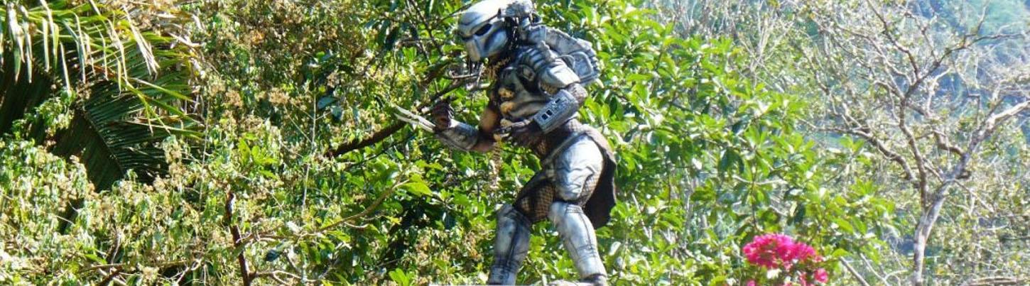 Dune Buggy or Viking  + El Eden Canopy 2