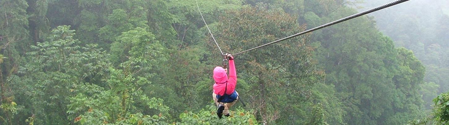 Dune Buggy or Viking  + El Eden Canopy 4