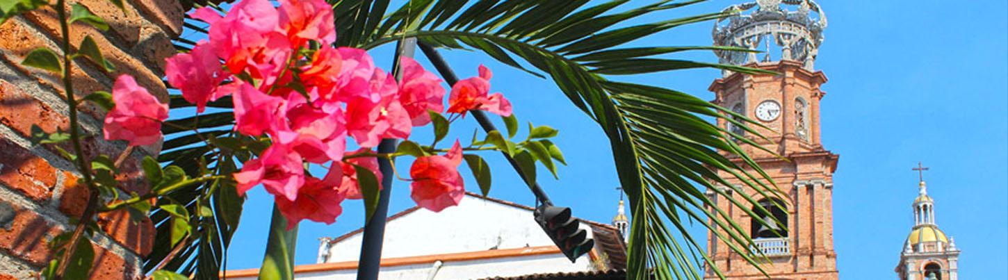 Puerto Vallarta City Tour & Tropical Explorer 6