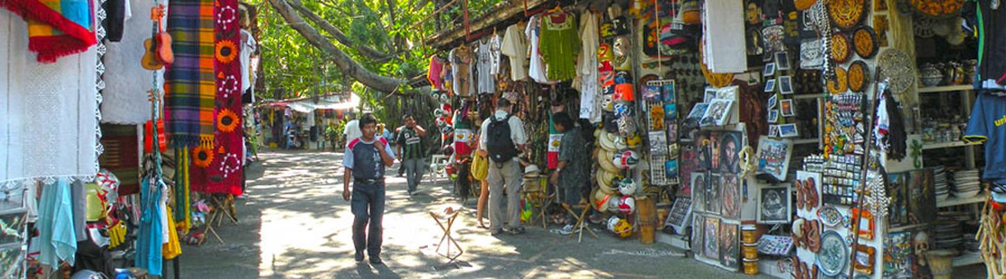 Puerto Vallarta City Tour & Tropical Explorer 8