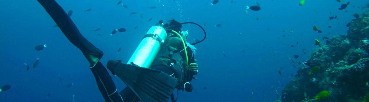 Discover Scuba Diving Puerto Vallarta 1