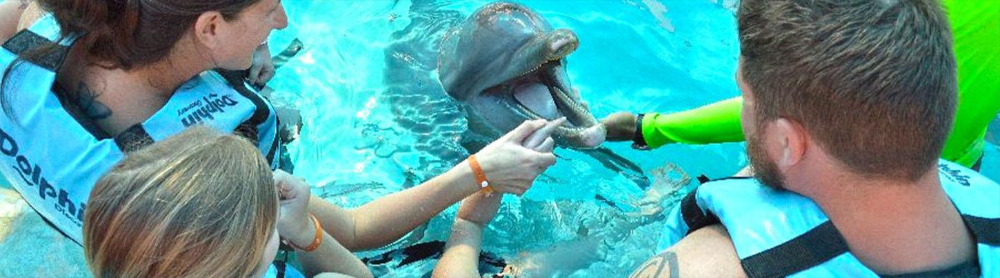 Dolphin Encounter + Aquaventuras Water Park 1