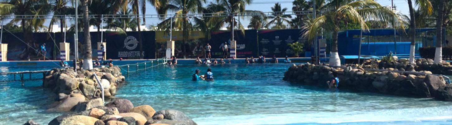 Dolphin Encounter + Aquaventuras Water Park 3