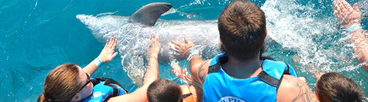 Dolphin Encounter + Aquaventuras Water Park 4