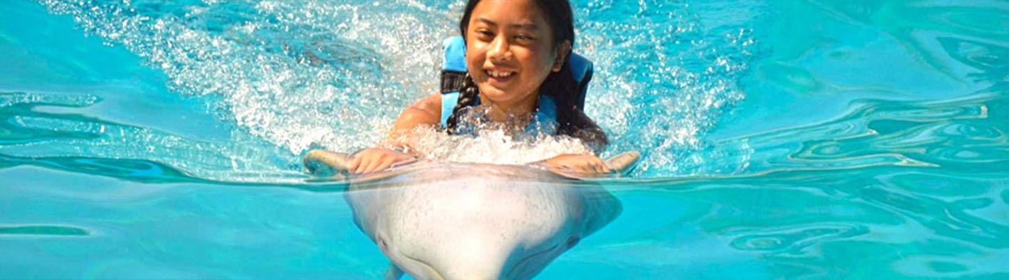 Dolphin Encounter + Aquaventuras Water Park 8