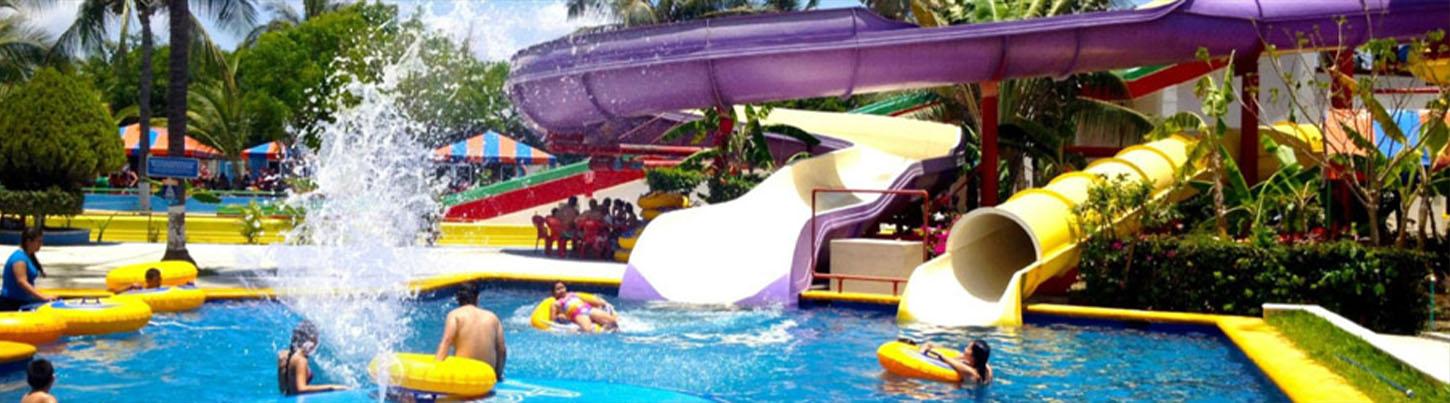 Dolphin Swim Adventure + Aquaventuras Water Park 3