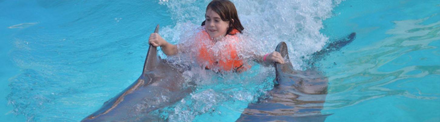 Dolphin Swim Adventure + Aquaventuras Water Park 4