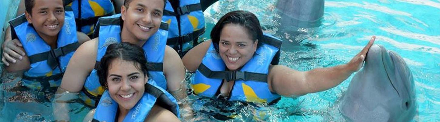 Dolphin Swim Adventure + Aquaventuras Water Park 5