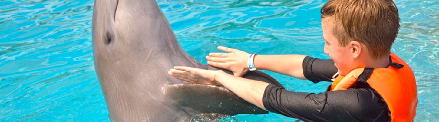 Dolphin Swim Adventure + Aquaventuras Water Park 7