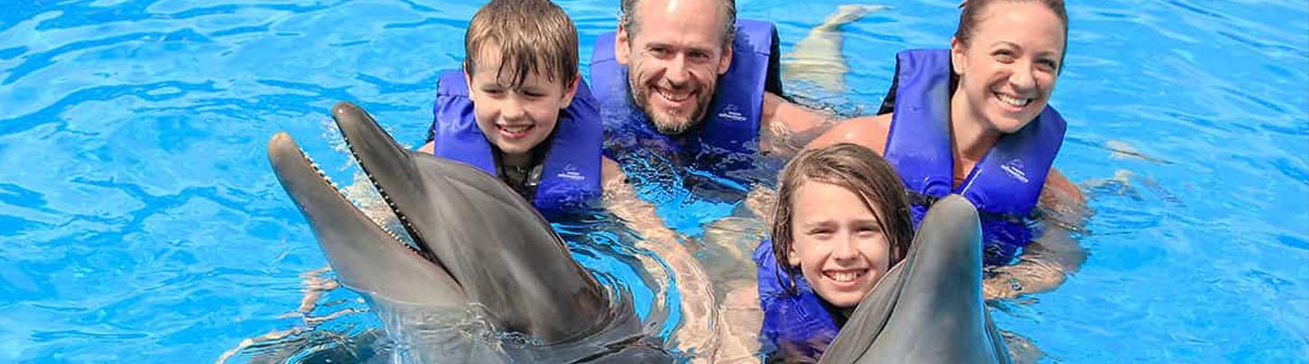 Dolphin Swim Memories 3