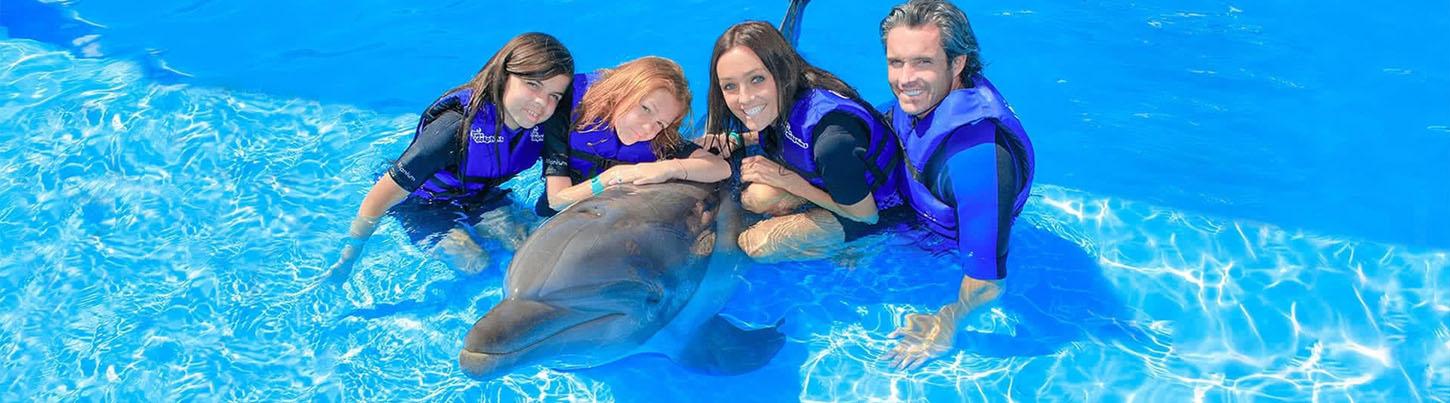 Dolphin Swim Memories 5