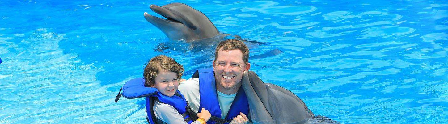 Dolphin Swim Memories 7