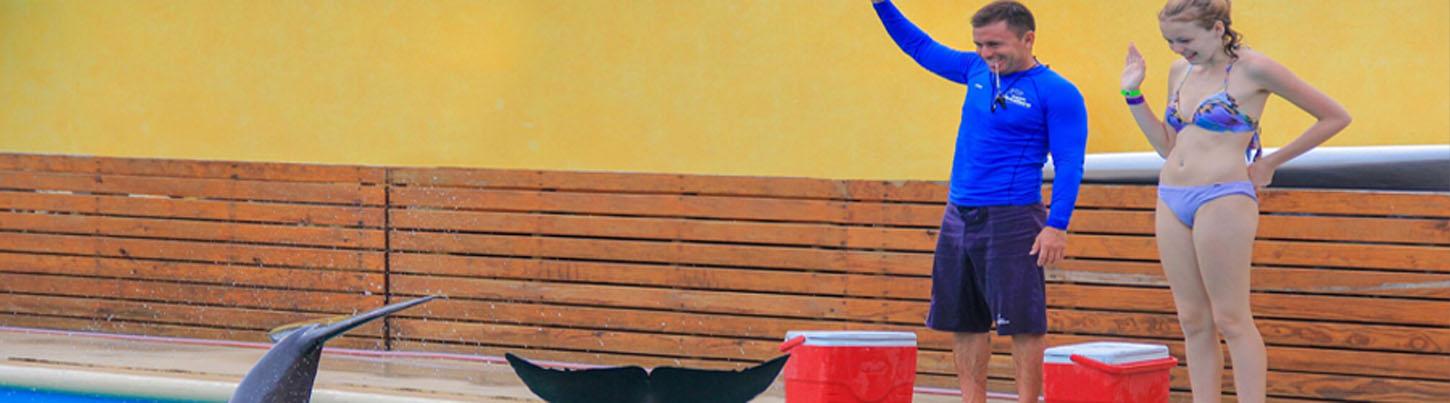 Dolphin Trainer For A Day Puerto Vallarta 1