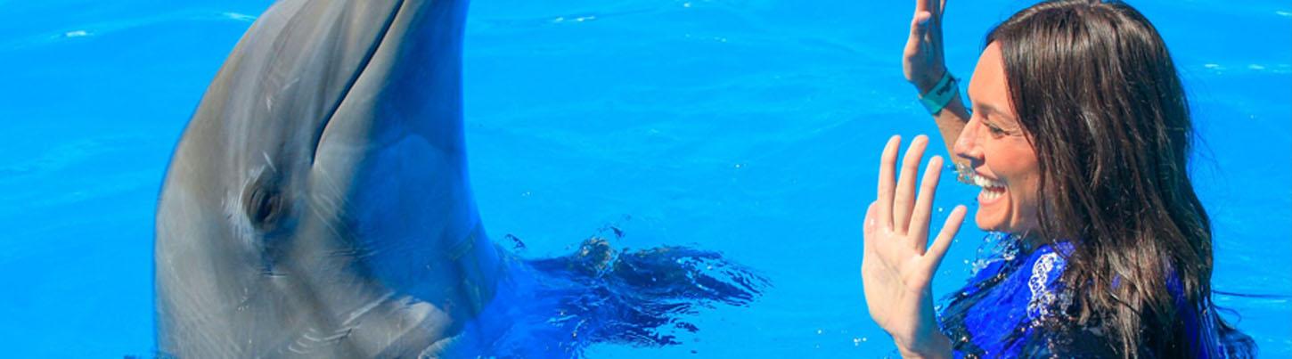 Dolphin Trainer For A Day Puerto Vallarta 3