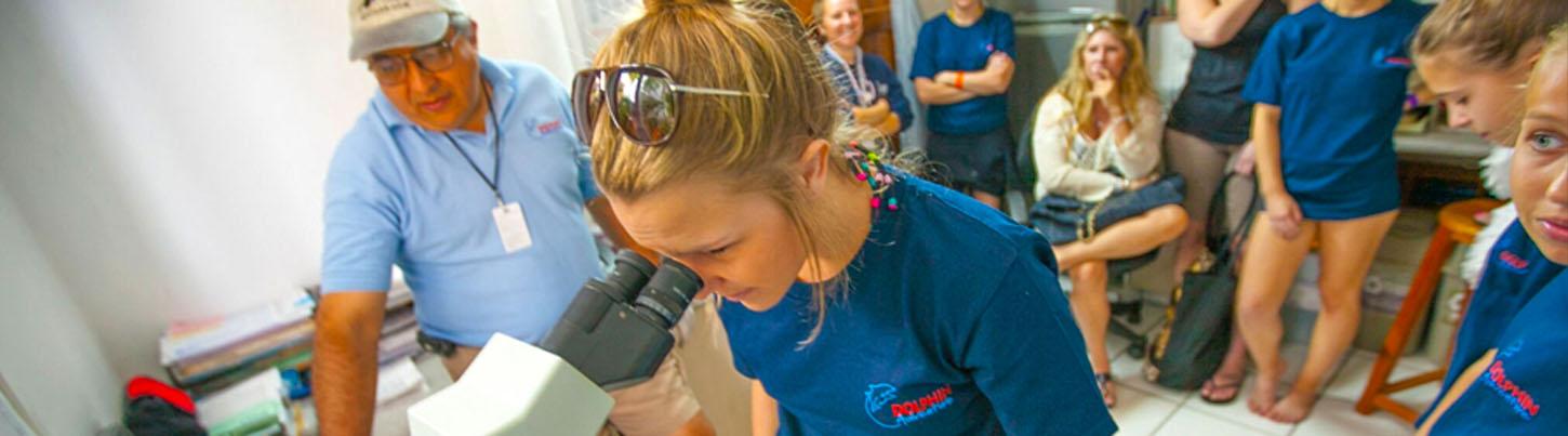 Dolphin Trainer For A Day Puerto Vallarta 6