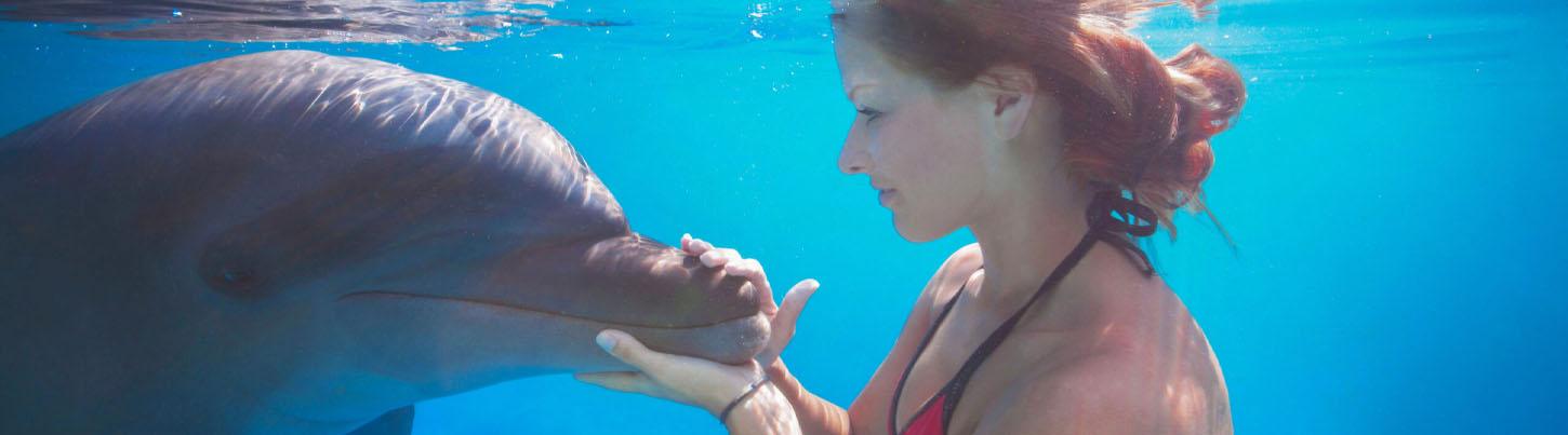 Dolphin Extreme Underwater Dolphin Swim 2