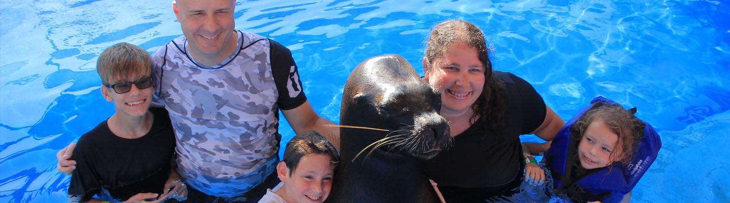 Sea Lion and Dolphin Encounter Swim Adventure 8