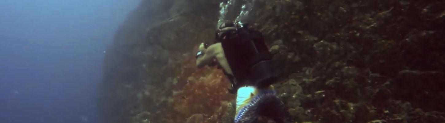 El Morro 2 Tank Dive 7