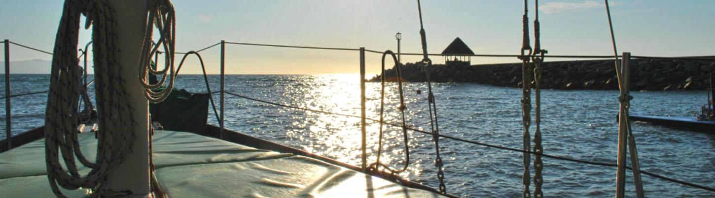 Half Day Sailing To Snorkel Los Arcos 7