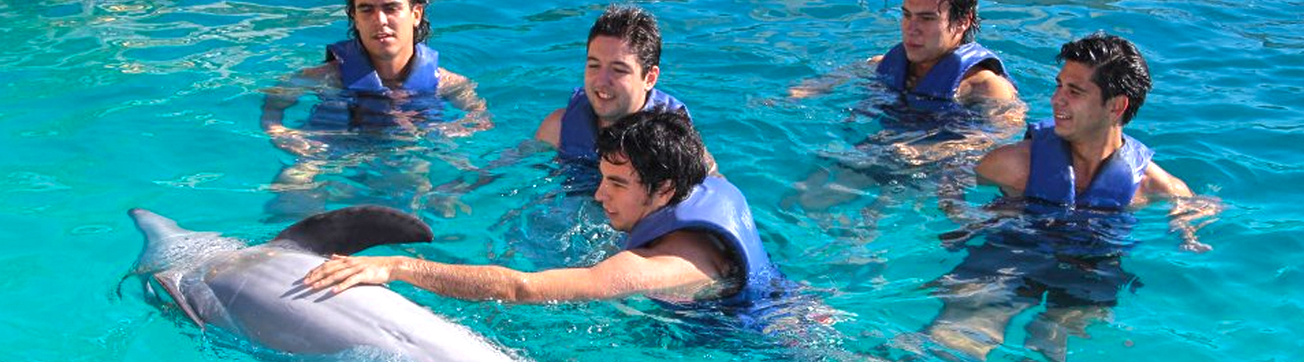 Puerto Vallarta Adventures Las Caletas Beach Hideaway 3