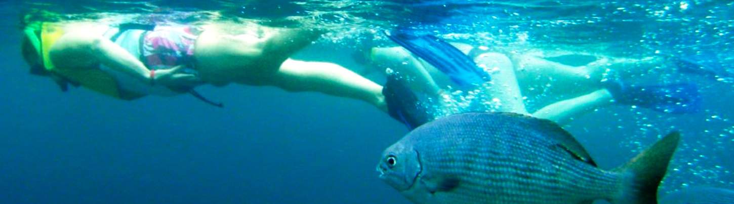 Marietas Islands Snorkeling & Marine Birds Eco Tour 5